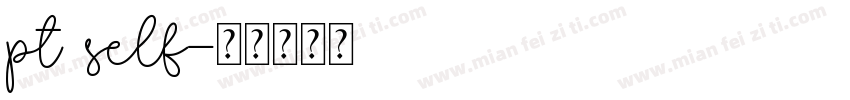 pt self字体转换